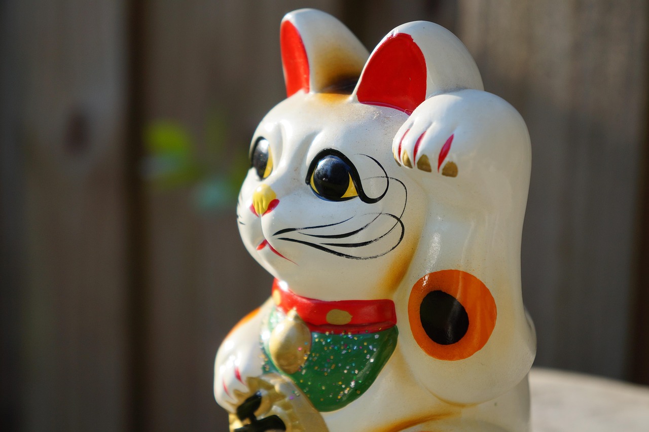 最新磁力猫，探索与体验的无尽乐趣